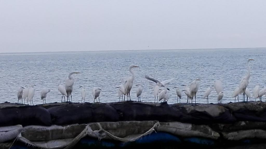 Con Salida Al Mar *